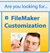 FileMaker Customization